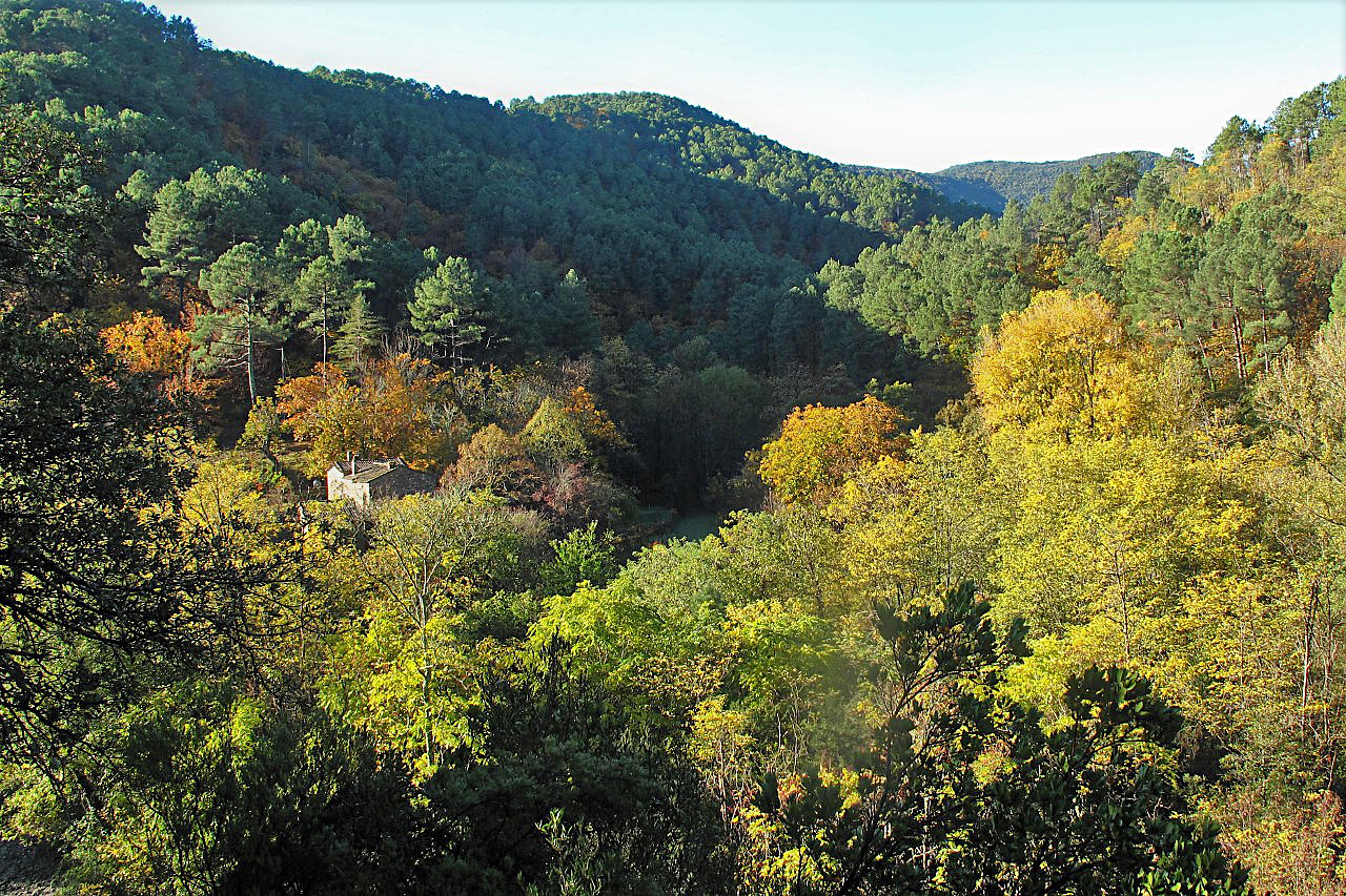 La vallée de la Salandre dans les reflets d'automne